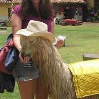 josefinaandres avatar