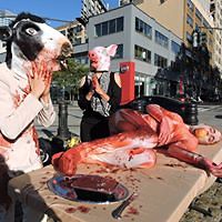 raffaella_ciavatta avatar