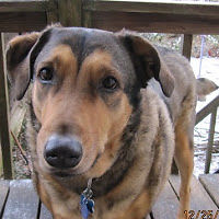 robertschlosser avatar