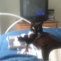 jocelyn_woods avatar