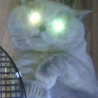 lucrezia_margareth_borgia avatar