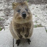 adrienne_wallage_benson avatar