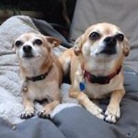 ingrid_reaves_54 avatar