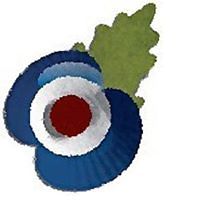 kirstyprincewasheadland avatar