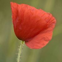 drew_rigsby_7 avatar