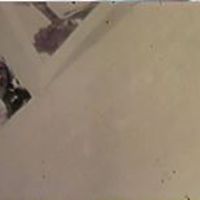 ramblingal_bun avatar