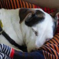 marylin_scheffer avatar