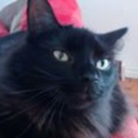 loraine_tobia avatar