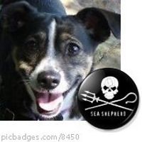 heidi_kleiber avatar