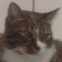 5464d7e3c894c avatar