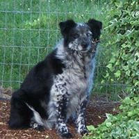 lisa_bailey_10690 avatar