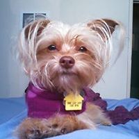 raul_ocampo_3194 avatar