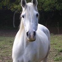 florence_thomas_9216 avatar