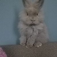 deborah_dallas_71 avatar