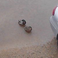 karen_perry_967422 avatar