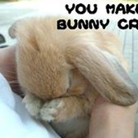 bronwyn_merritt avatar