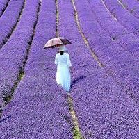 sonika_kumar_754 avatar