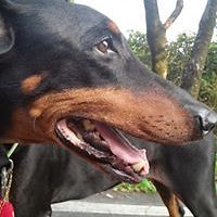 5465f5be2d276 avatar