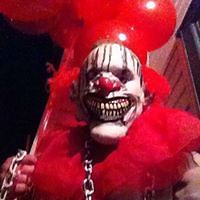 rob_murphy_125 avatar