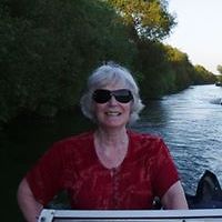 carol_willcox_9 avatar