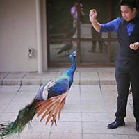 joel_ash_1238 avatar