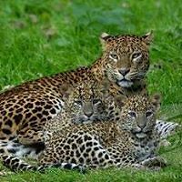 Luiza110673101691 avatar