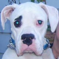 hollyjensen_obrien avatar