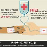 gosia_gosiowa_5 avatar