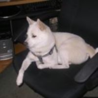 catherine_kabat avatar