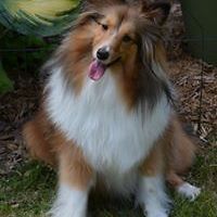 diane_wood_16 avatar