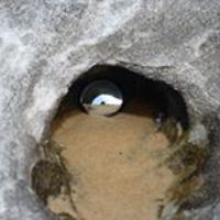 shawnblackieb avatar