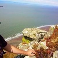 cristi_budaianu avatar