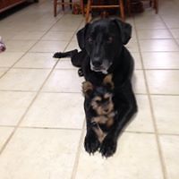 54689fd402840 avatar