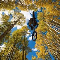 cosmin_marius_925 avatar