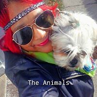 irisbelitzapanteracarrillo avatar