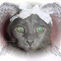 jenn_leborgne avatar