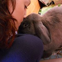 kirrie_shearer avatar