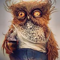 frank_goodman_186590 avatar