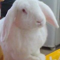 navid_valipour_3 avatar