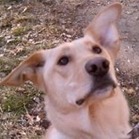 karen_d_trotter avatar