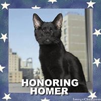 marion_friedl_737 avatar