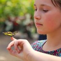 hannah_biesaart avatar