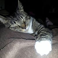 brady_baggett_581 avatar