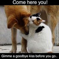 tereza_sobotikova avatar