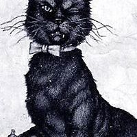 alison_buchananvaassen avatar