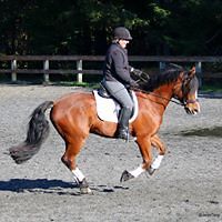 kristineandersondahms avatar