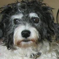 carol_robinson_129794 avatar