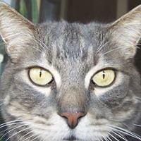 Karl_L_Kennedy avatar