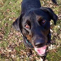 miakimerakiarra avatar