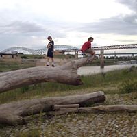 jennifer_mueller_1232 avatar